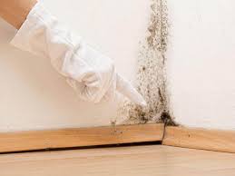 Best Residential Mold Inspection & Testing  in Danvle, IL